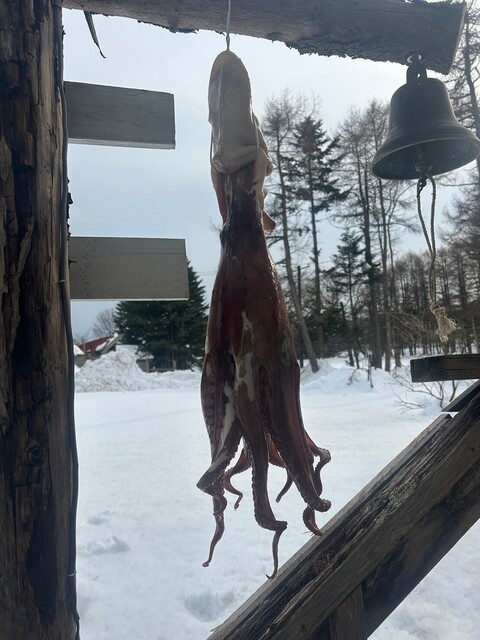 LINE_ALBUM_2日目_250217_3.jpg