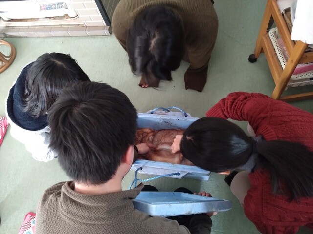 LINE_ALBUM_2日目_250217_6.jpg